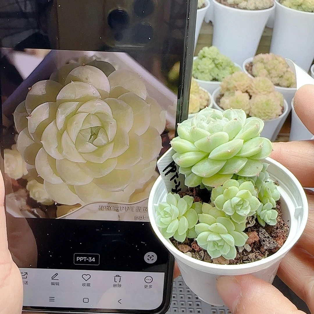 1109-29（ppt-34）优选