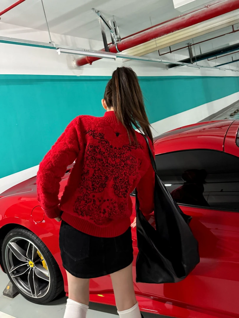 婉君【小蜜蜂毛衣】秋冬休闲百搭潮流针织毛针衫LWJ24D4M2484