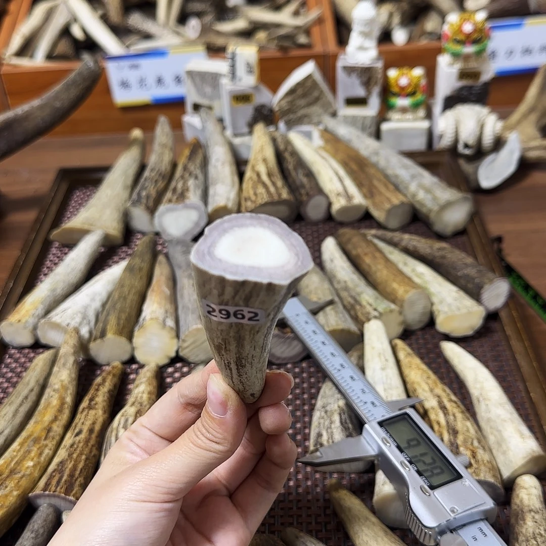 手串/手链鹿骨2962角尖