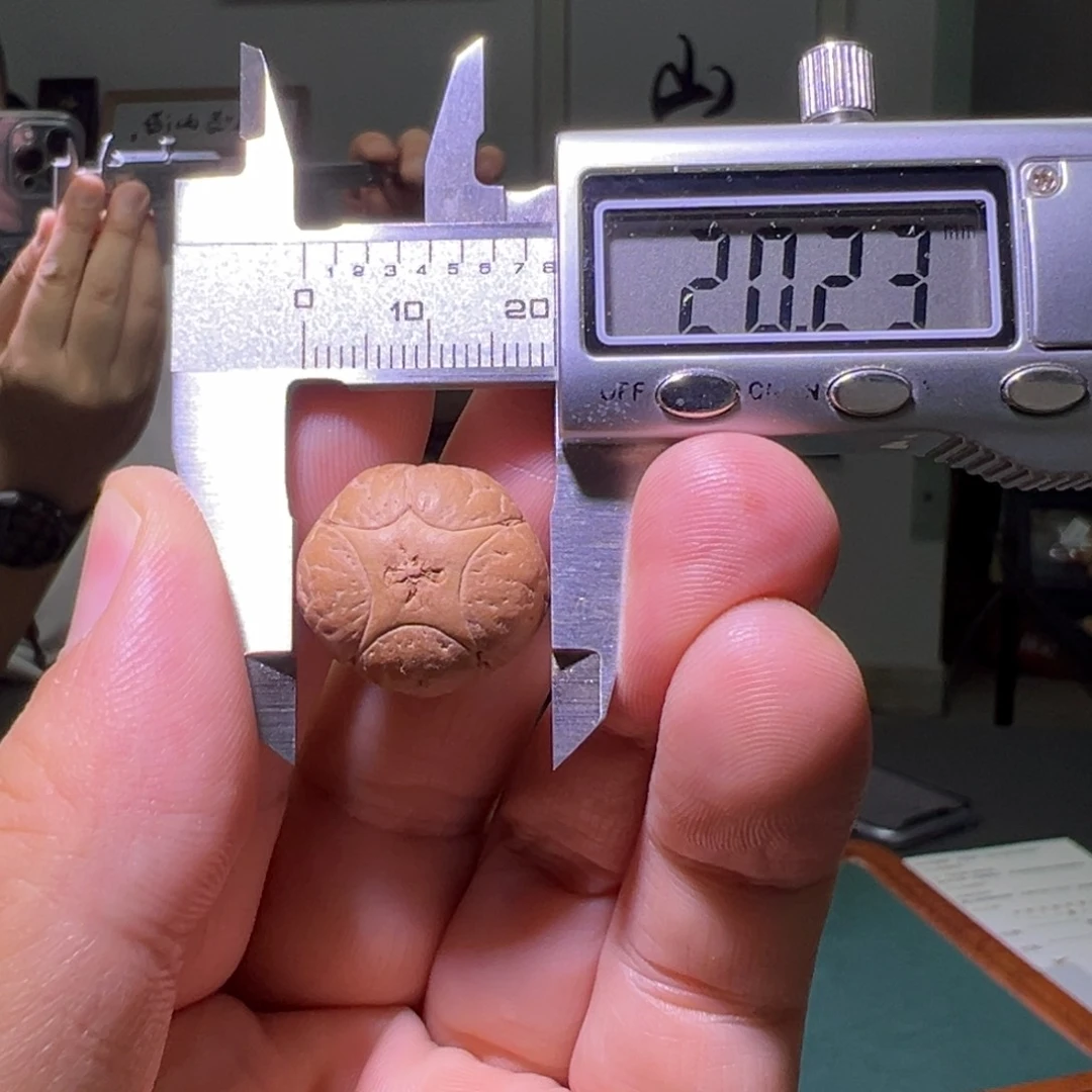 凤眼菩提手串五星单颗