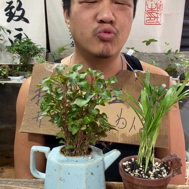 无花朵退款拉黑拉黑12