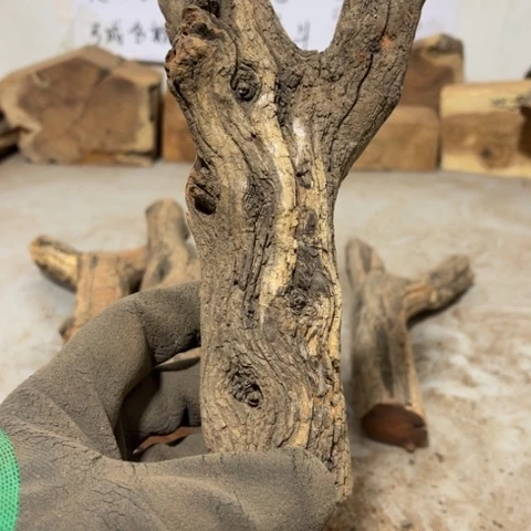 大果紫檀（缅甸花梨）凉