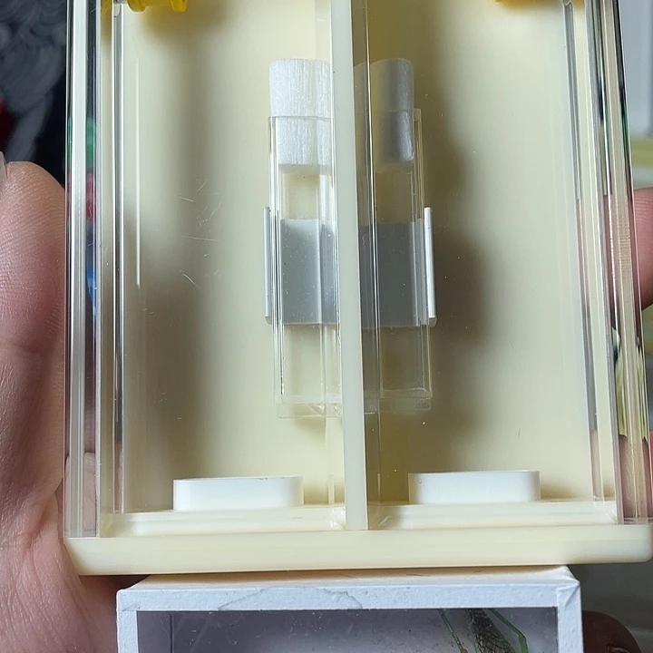 陈***刚蟋蟀哈哈哈哈哈哈哈哈回家