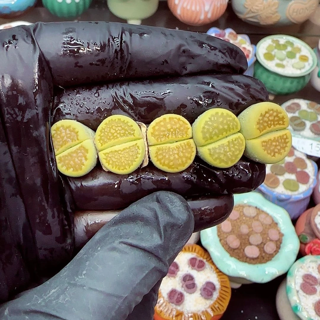 郎哥18包邮0611-41