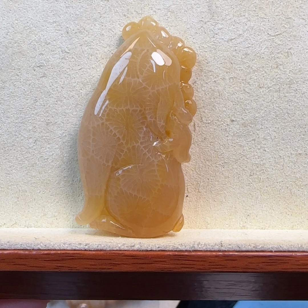 硅化珊瑚（珊瑚玉）未镶嵌颈饰