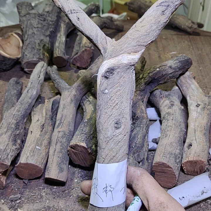 J***邦火琉璃原杈不保沉水慎拍！