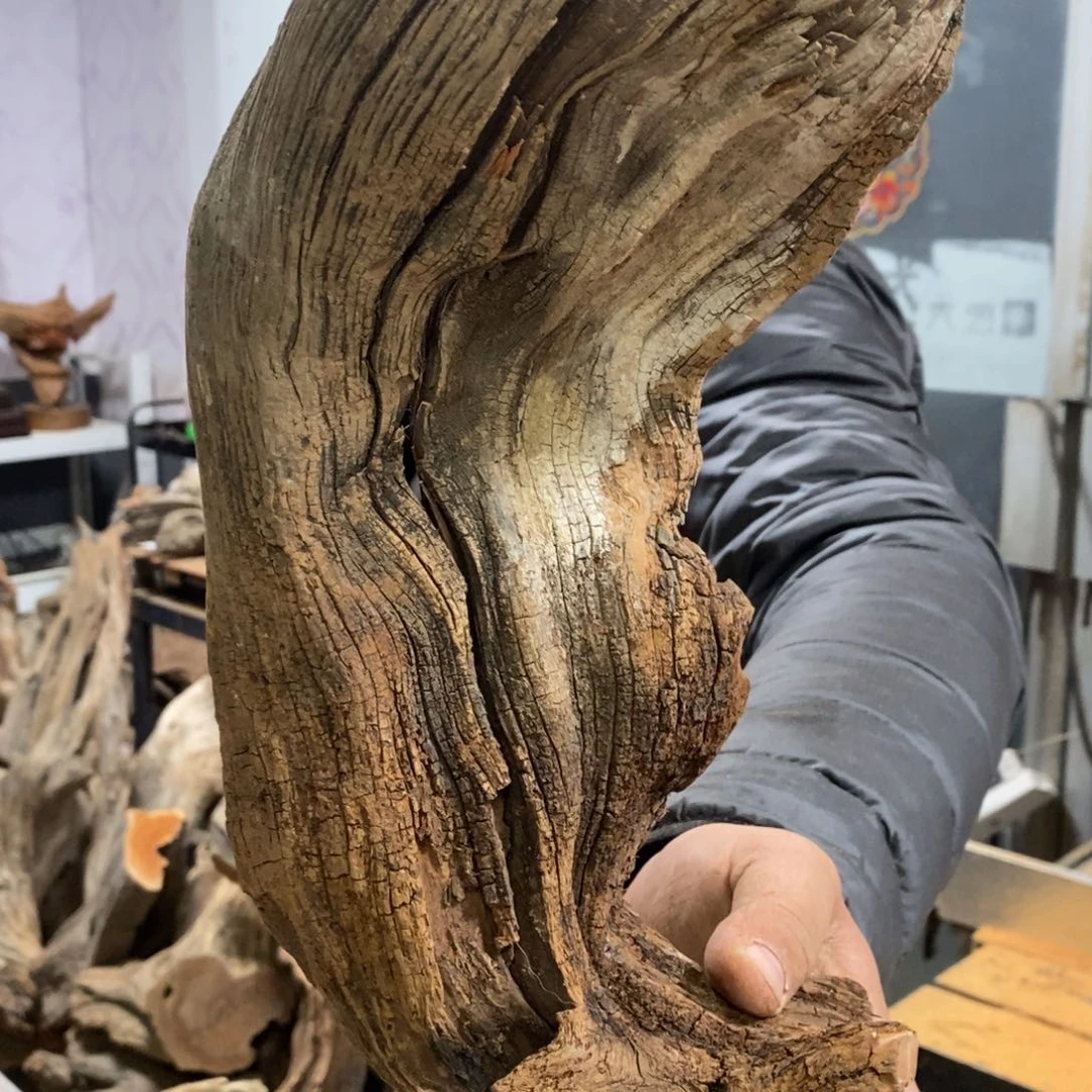 柏木豫****工我们都是好孩子