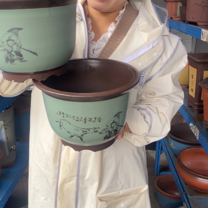 25+25绿放牛娃金钟花盆紫砂花盆