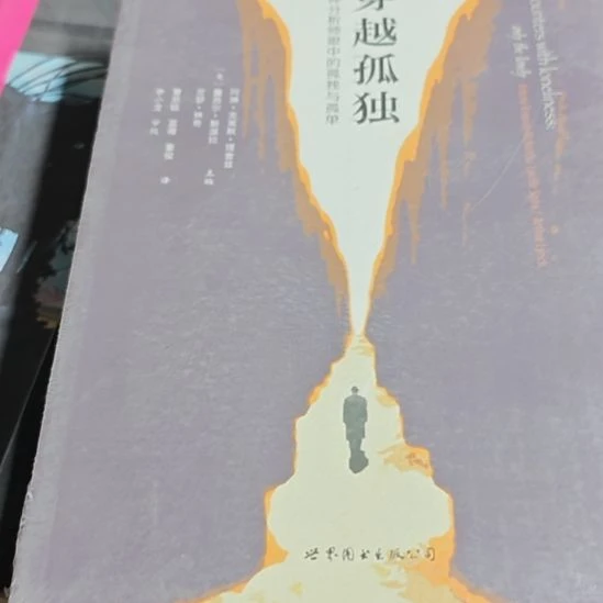 穿越孤独，精神分析，眼中的孤独