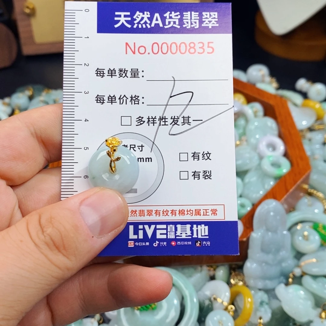 翡翠未镶嵌颈饰835