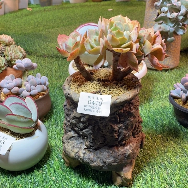 0419啊啊啊啊啊啊啊啊啊啊啊