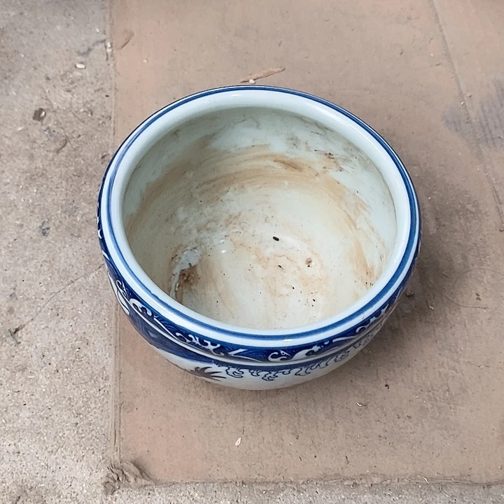 瓷片我也好可爱的啊哈