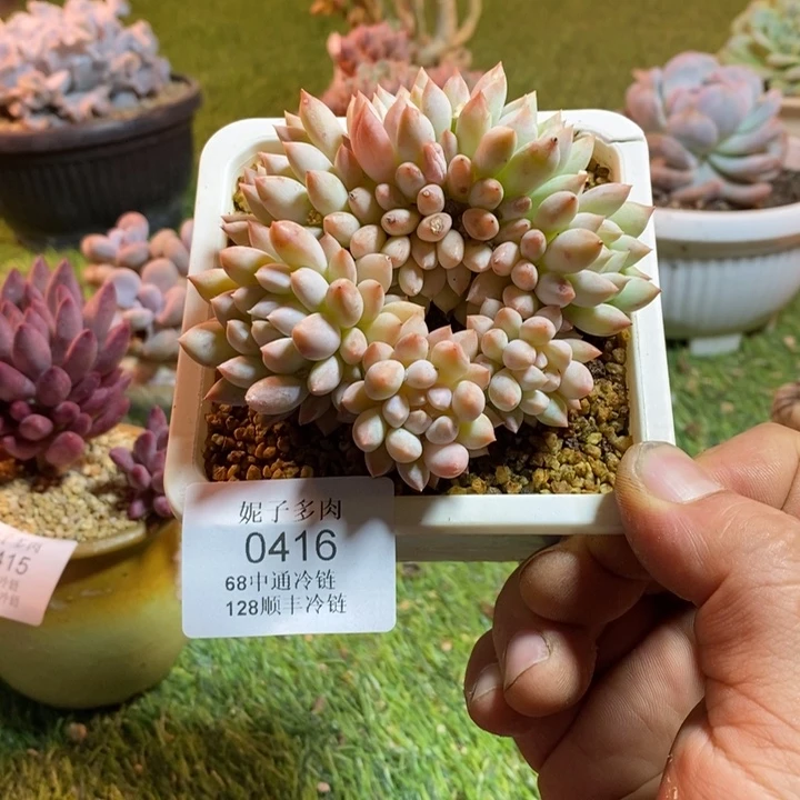 0416啊啊啊啊啊啊啊啊啊