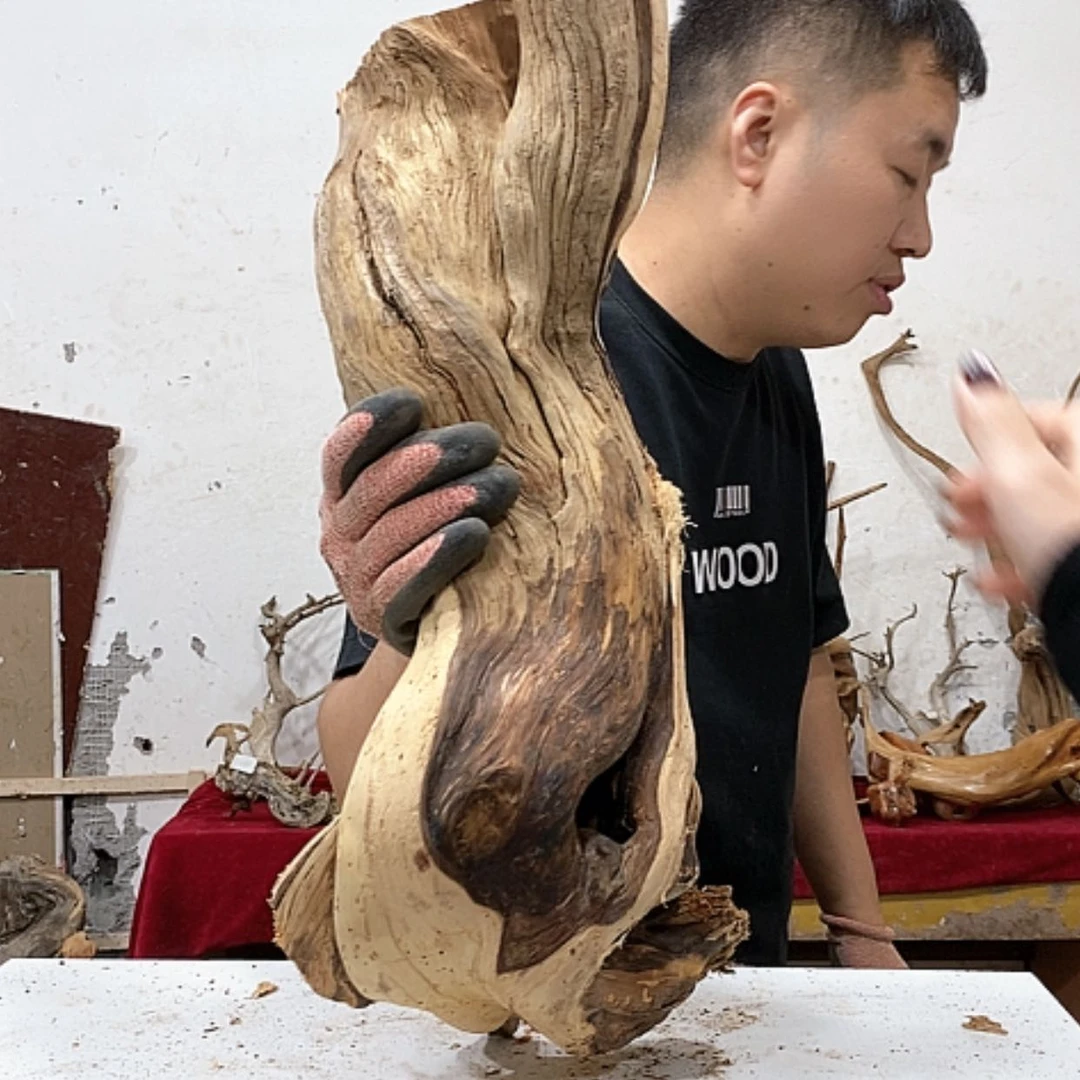 【闪购商品】柏木聚****艺我们都是好孩子