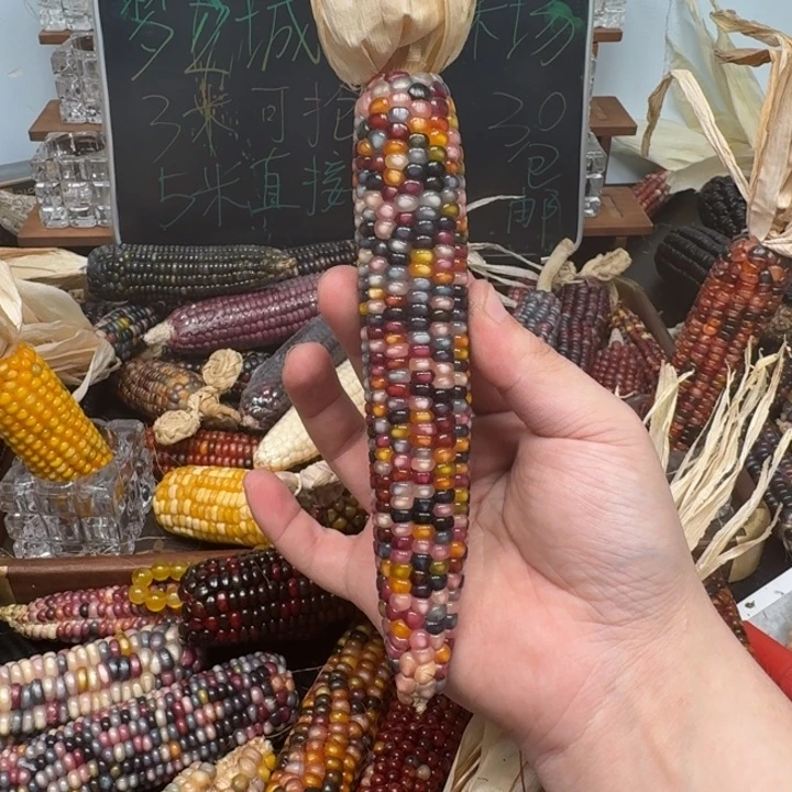 柏香籽/百香籽吊坠念*