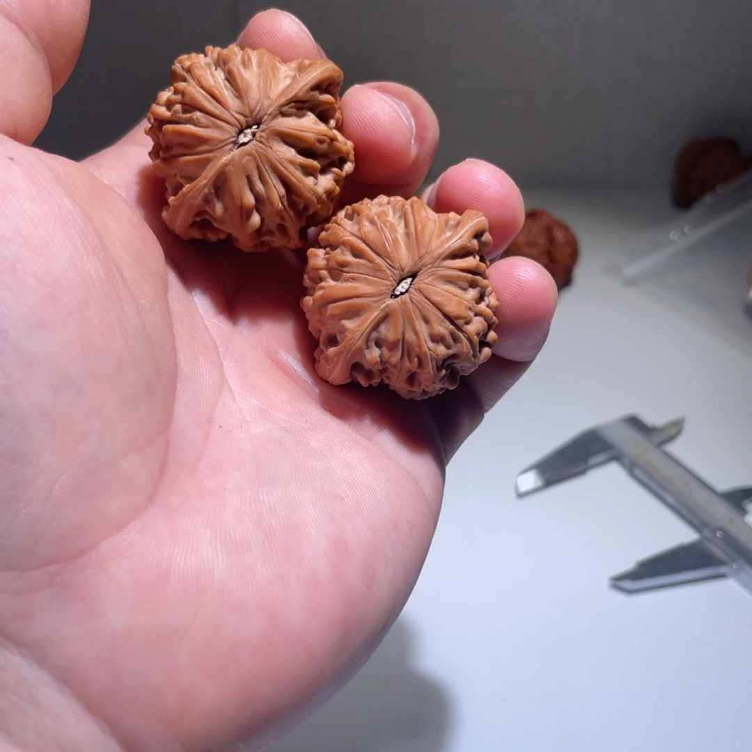 文玩核桃把件易39全品磨盘