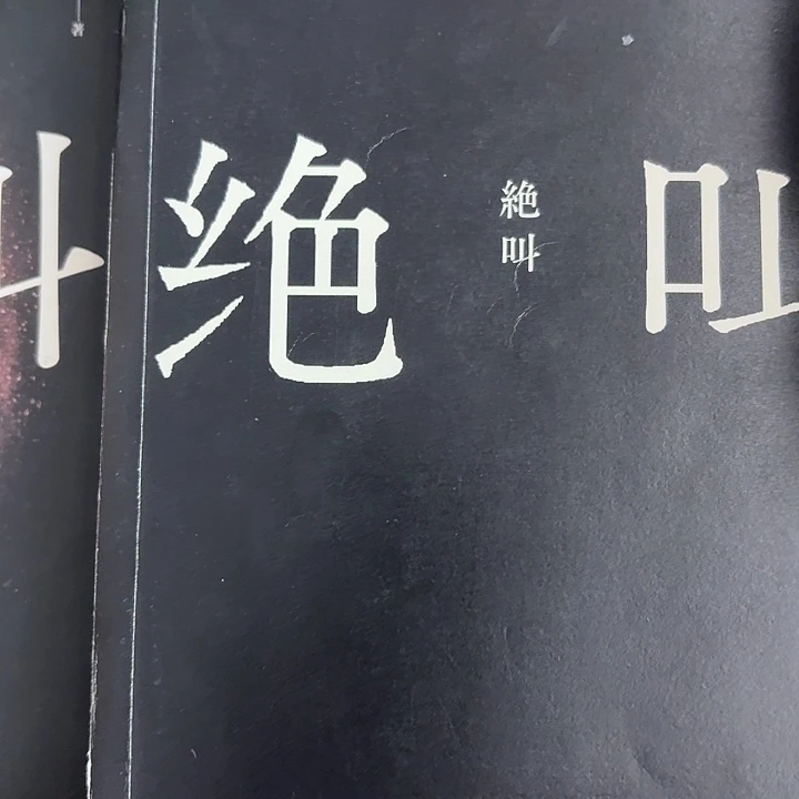 正版微瑕书绝叫no退