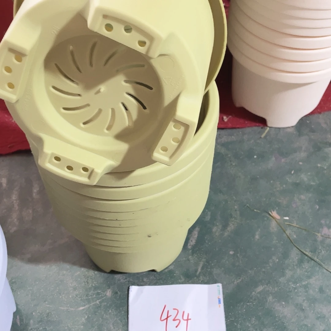 编号是434号的434号的