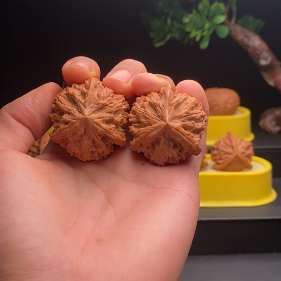 把件文玩核桃用****5御龙三棱39