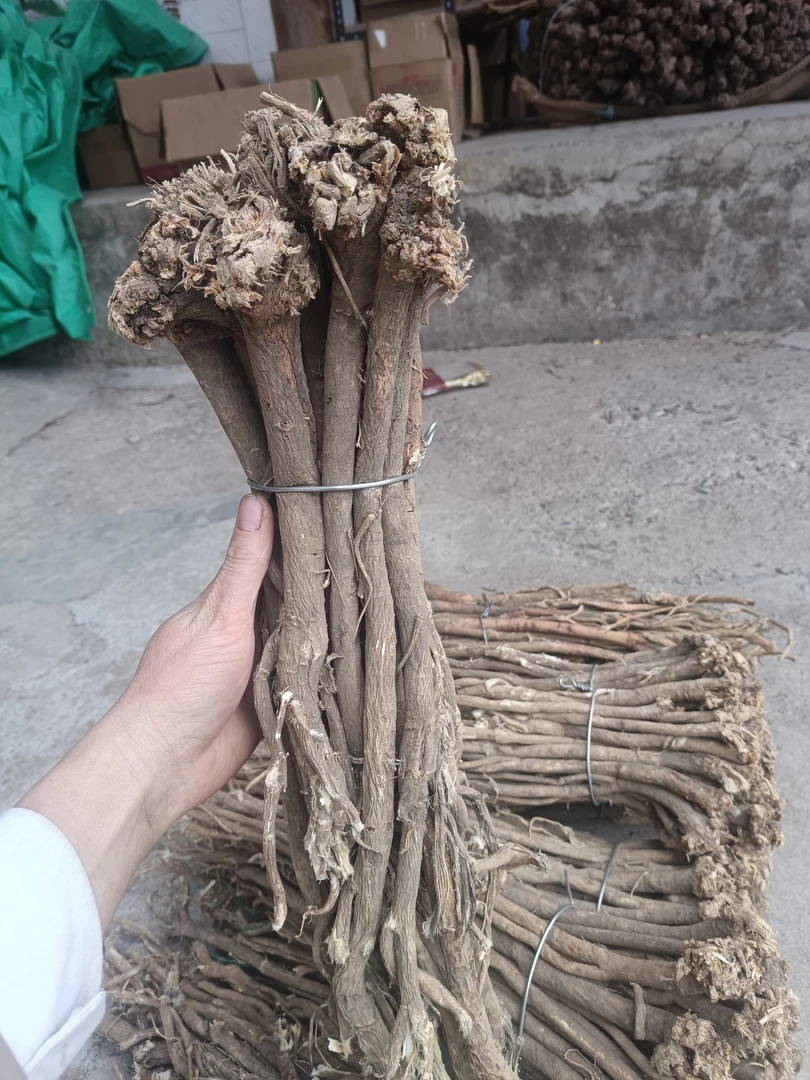 甘肃岷县大山深处老黄芪改价款