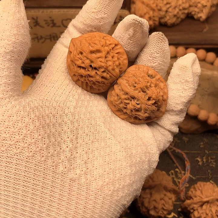 了*想35尺秦岭野生无名果