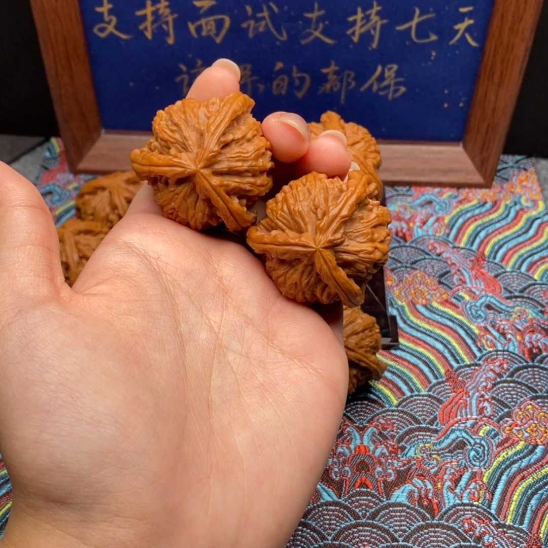 【闪购商品】兜***糖白狮