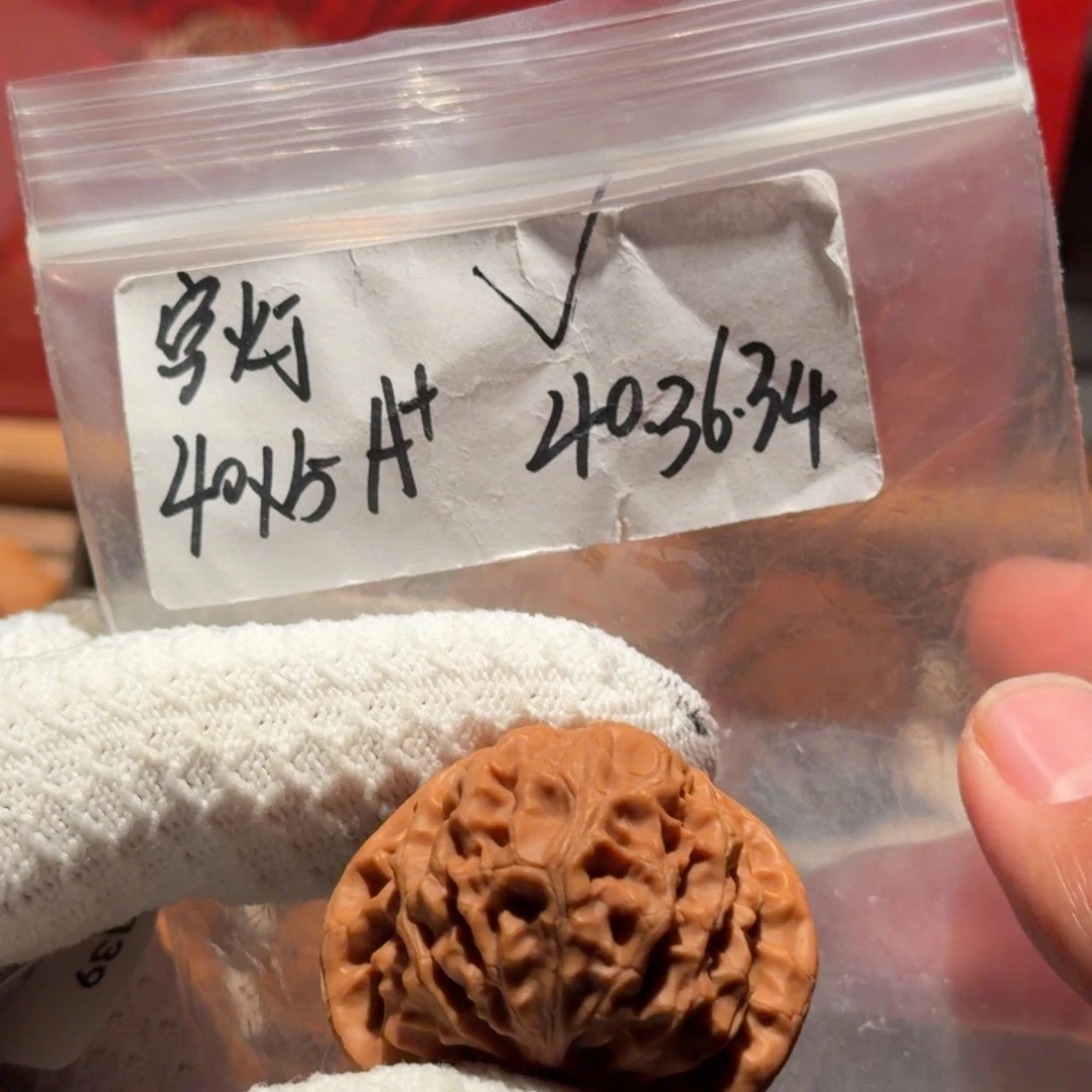 白***谈桃核吊坠宫灯 39尺 40x5