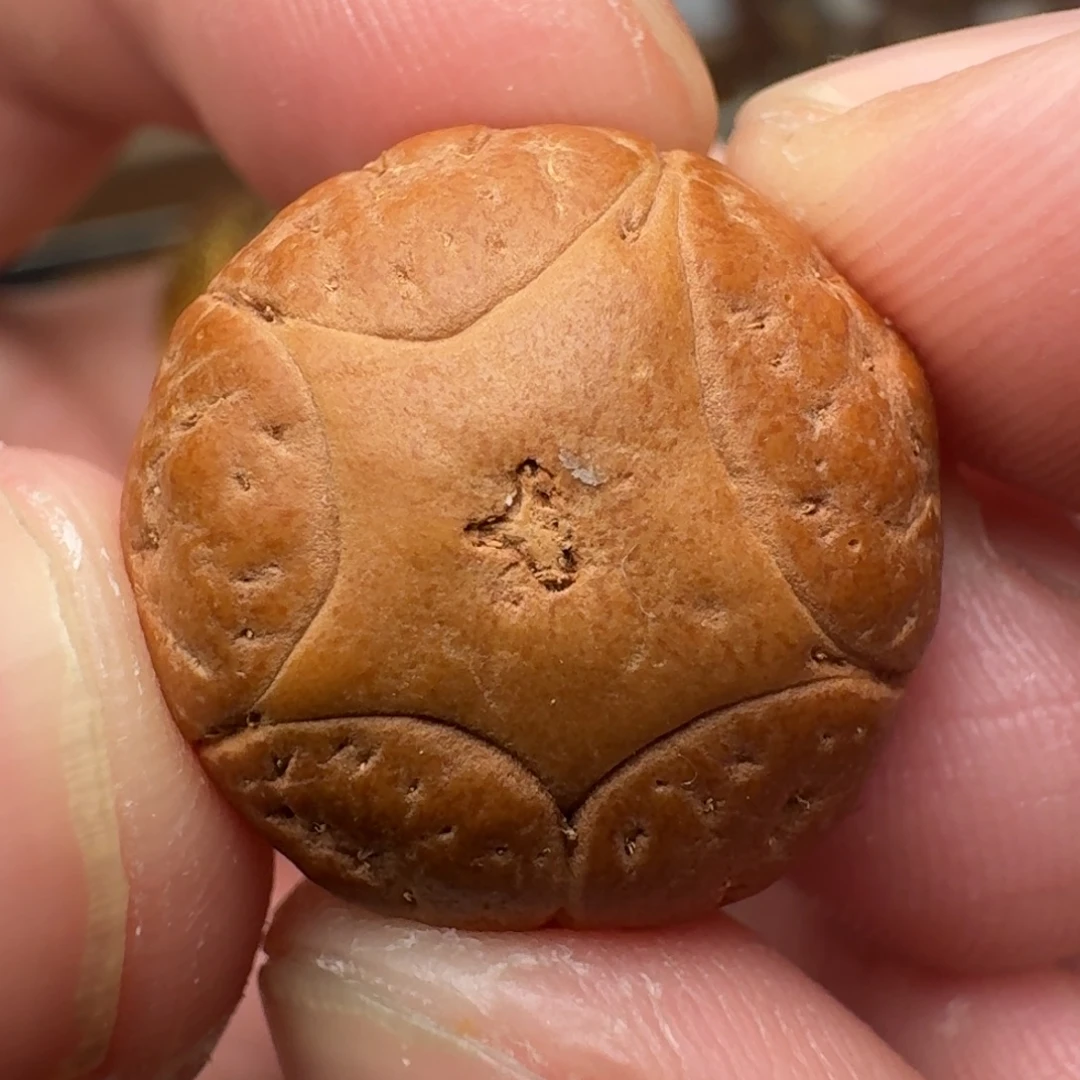 吊坠凤眼菩提18.6x15五星