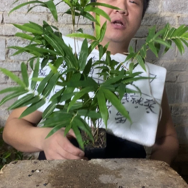 L*n退款拉黑一物一拍298