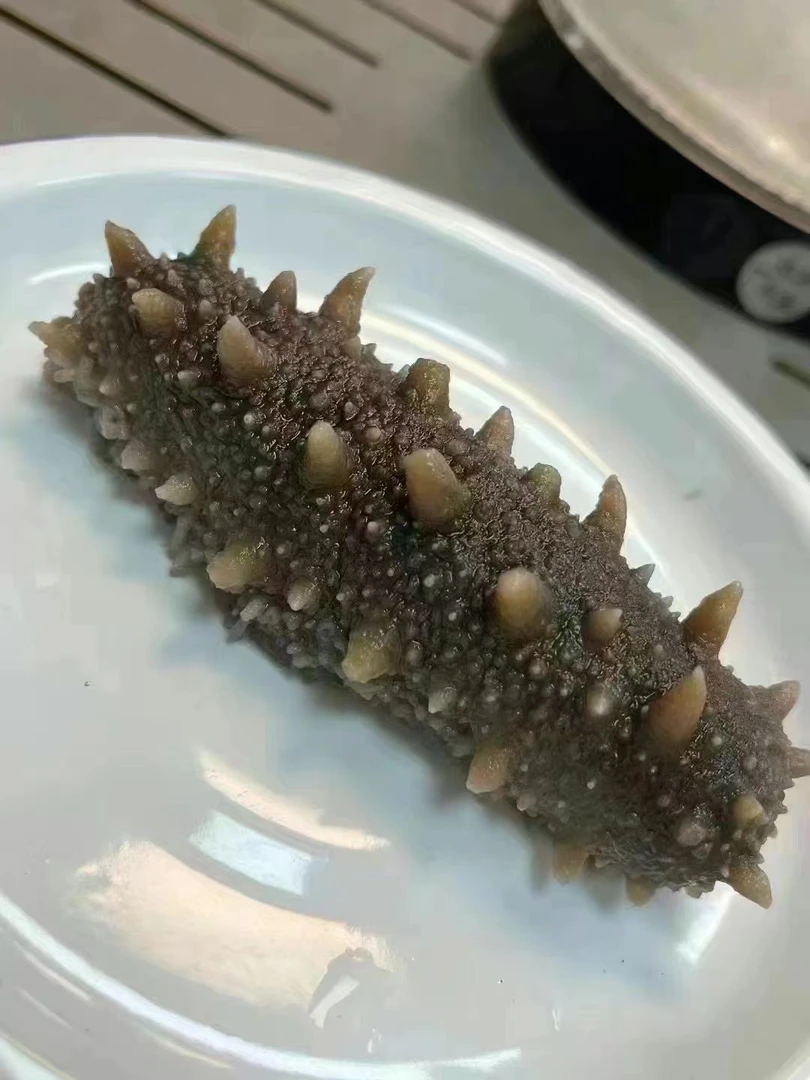 广东潮汕 发好 海参 鱼类