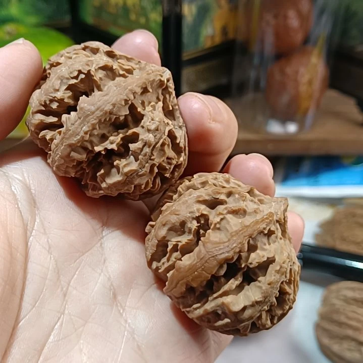 把件文玩核桃大**炭6666666666666666