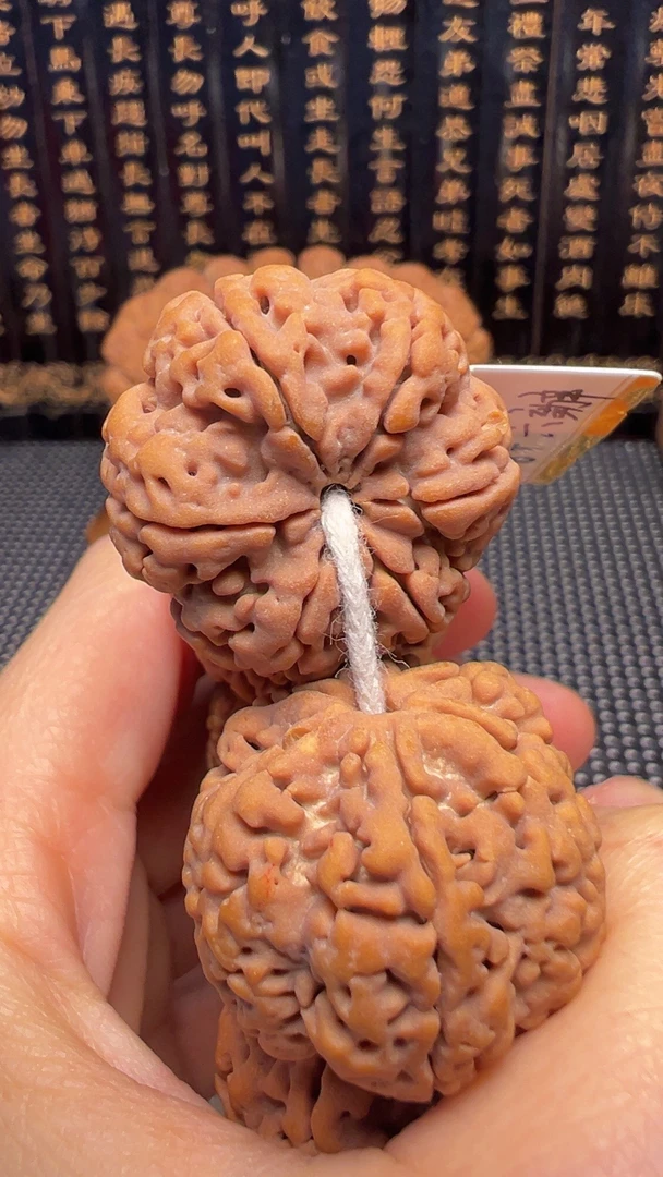 六抓金龙，雪花六瓣，尼泊尔大金刚。25号