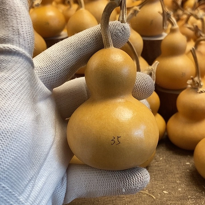 文玩葫芦 完美主义者 慎拍35