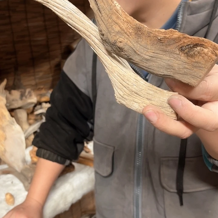 善***首柏木（崖柏）W66666666