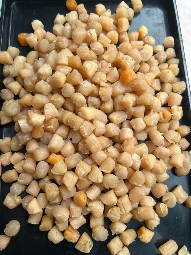 南澳岛干货瑶柱干贝