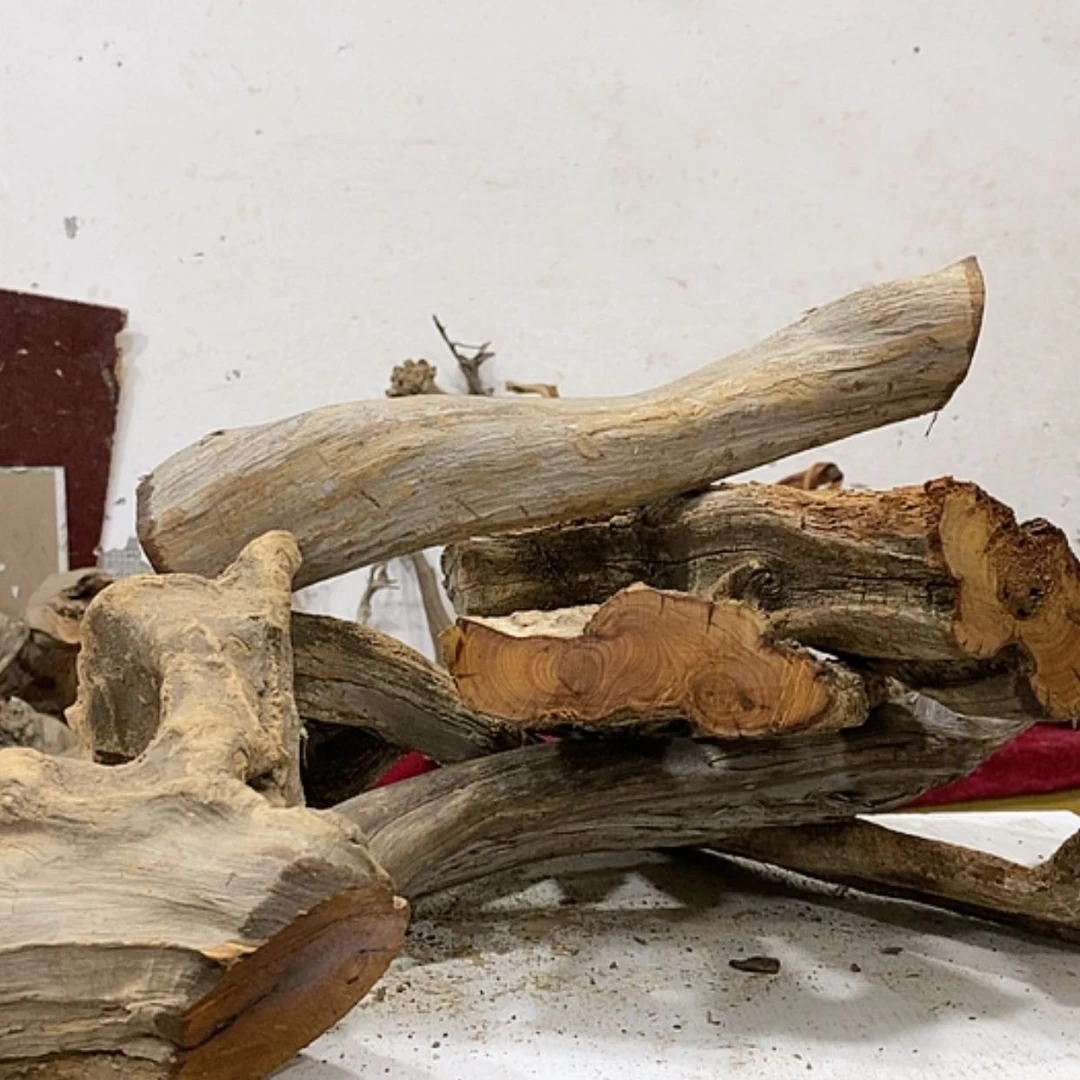 【闪购商品】柏木余**好我们都是好孩子