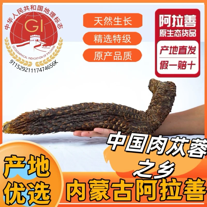 内蒙古阿拉善荒漠肉苁蓉整根正品可切片泡酒泡水中药材