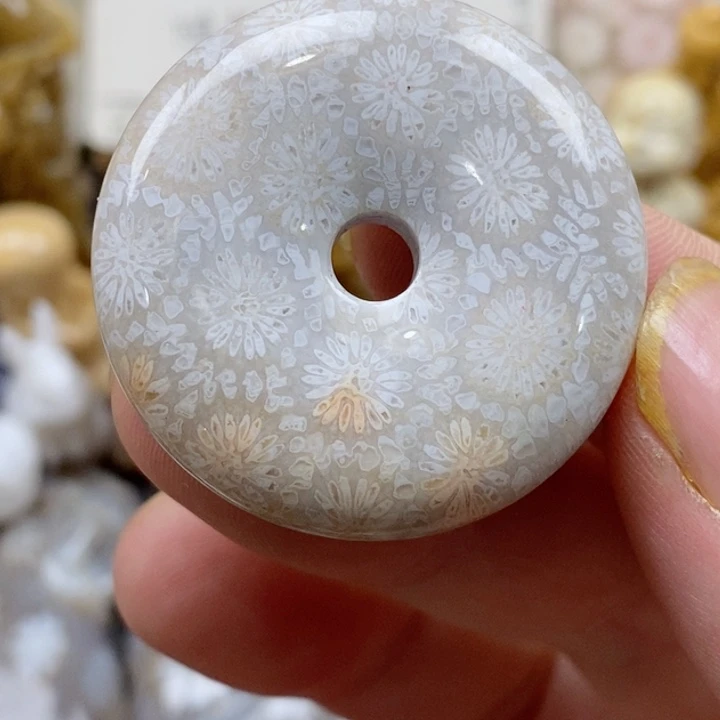 颈饰未镶嵌硅化珊瑚（珊瑚玉）