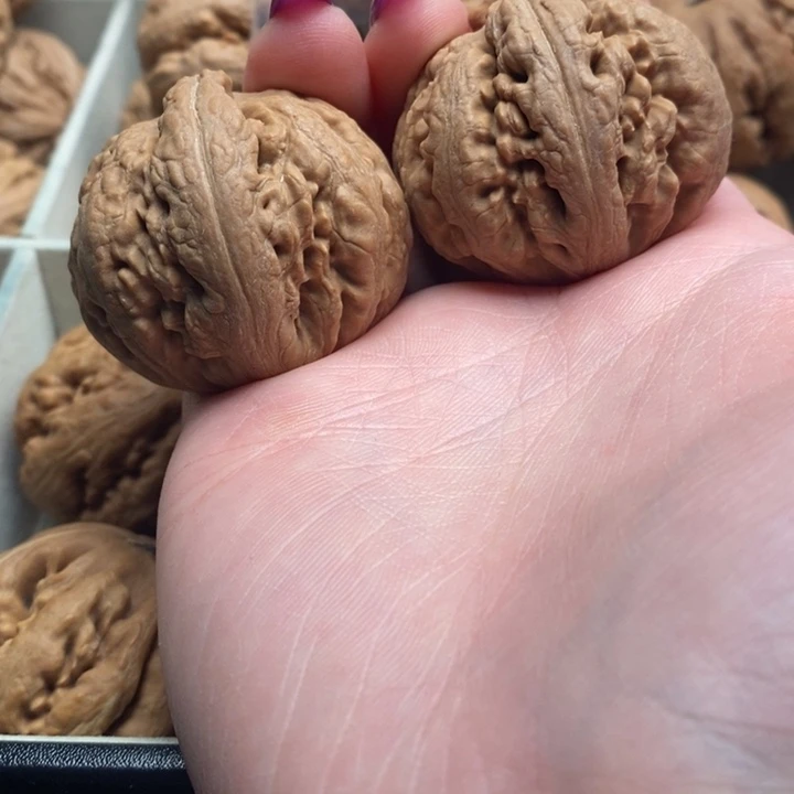 ༺***࿐文玩核桃吊坠霸王龙