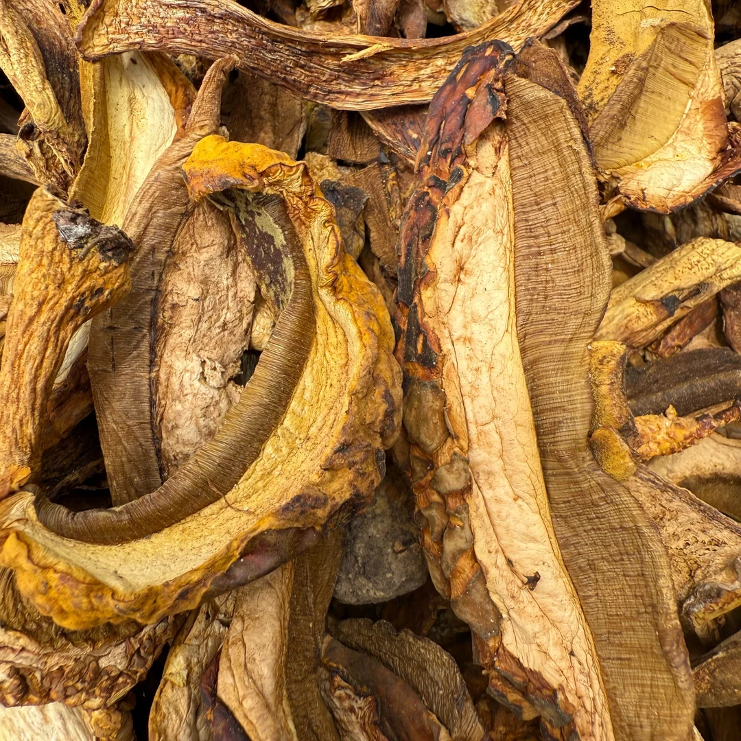 【黄牛肝菌】黄濑头牛肝菌新货黄大脚菇干菌煲汤美味鲜香十足脆嫩