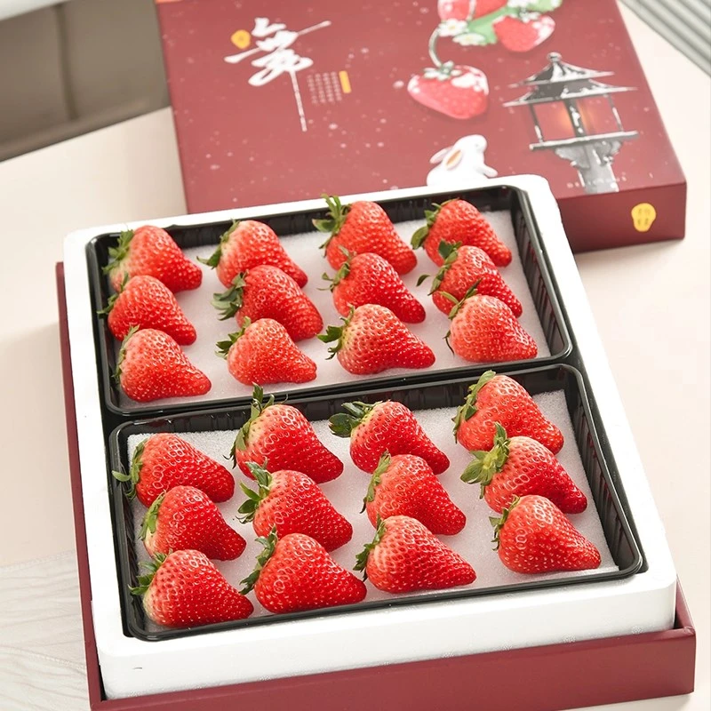 【顺丰空运】正宗丹东草莓新鲜采摘香甜饱满产地直发九九红颜礼盒装