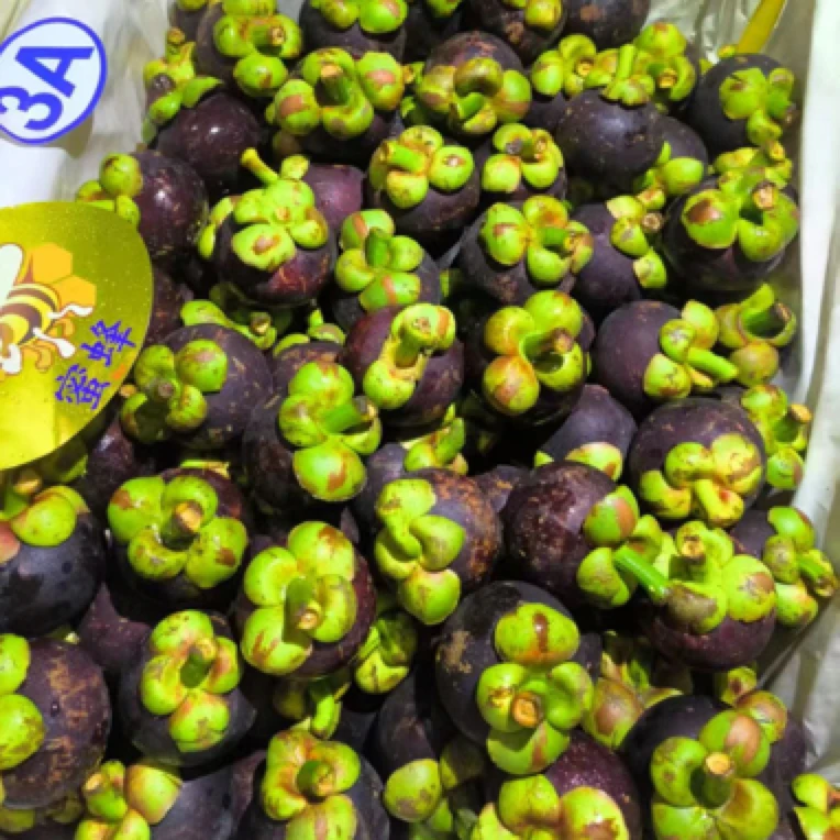 泰国老树山竹5A果10斤散装（净果9.5斤）