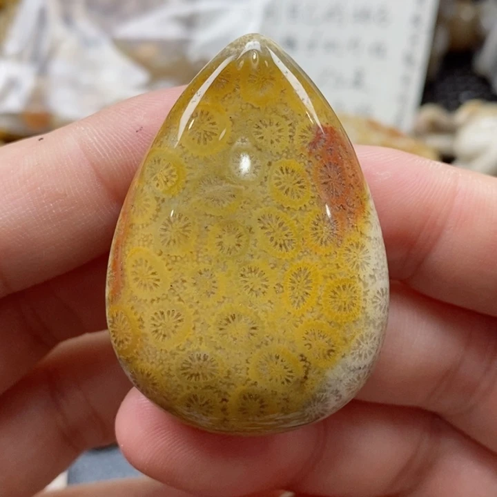 硅化珊瑚（珊瑚玉）颈饰未镶嵌