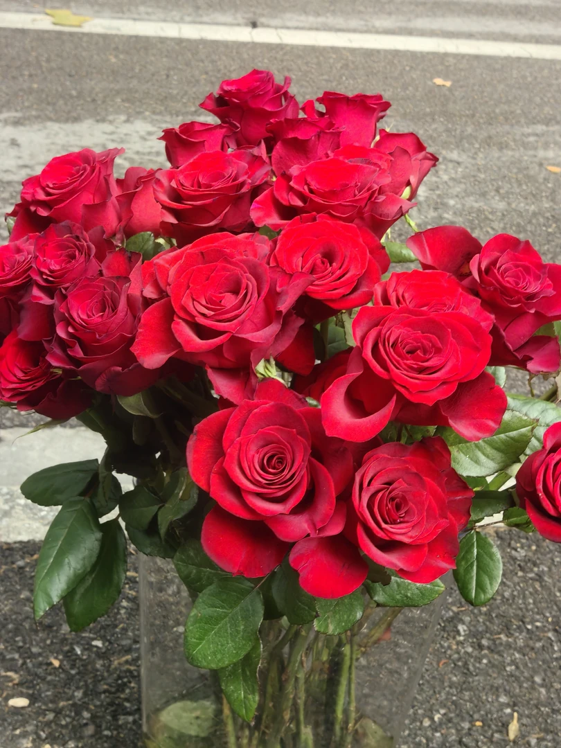 红玫瑰粉玫瑰橙芭比多头玫瑰香水百合配草组合云南鲜花