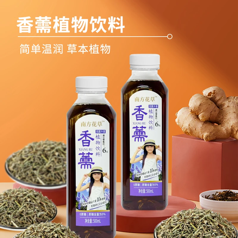 中药香薷泡茶0添加南方花草香薷植物饮料凉茶草本植萃无蔗糖饮品