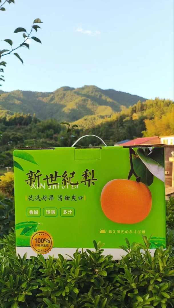 高山炎陵新四纪梨新鲜现摘新四纪梨脆甜多汁细腻爽口水果京东包邮