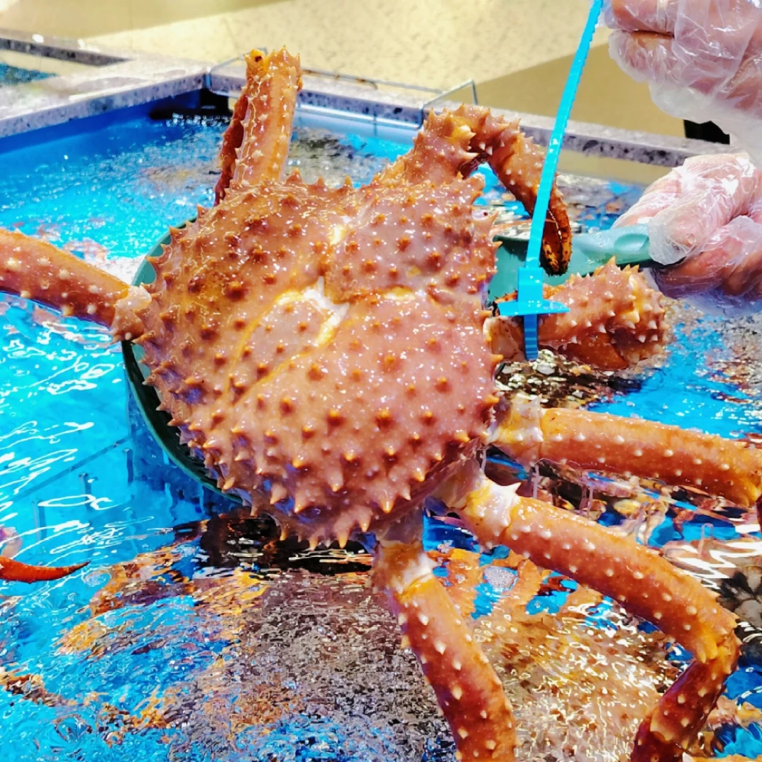 棕帝王蟹包活 1只（单只5斤左右）可备注收拾