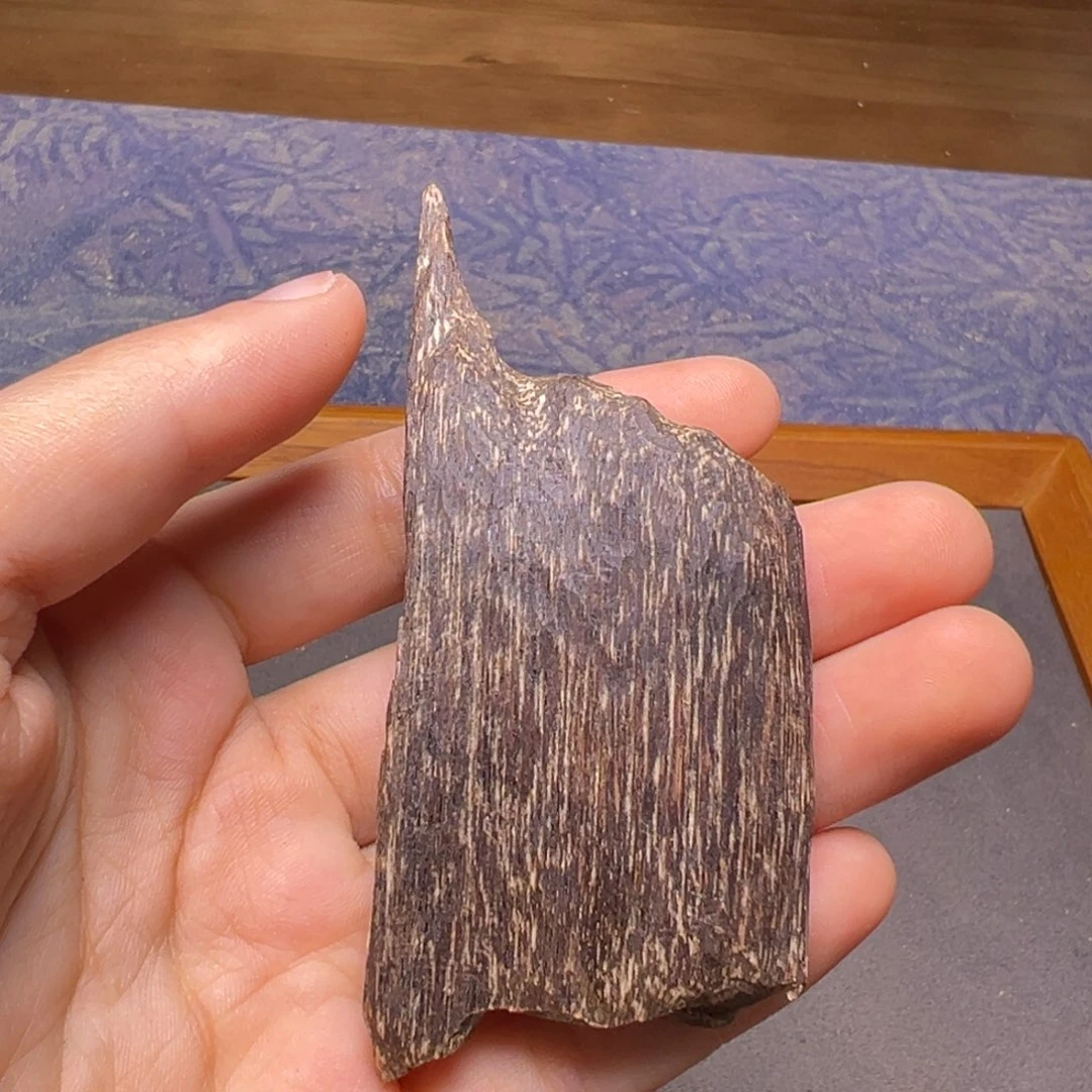 沉香碎屑沉香海南尖峰岭沉水老虫漏6.6克