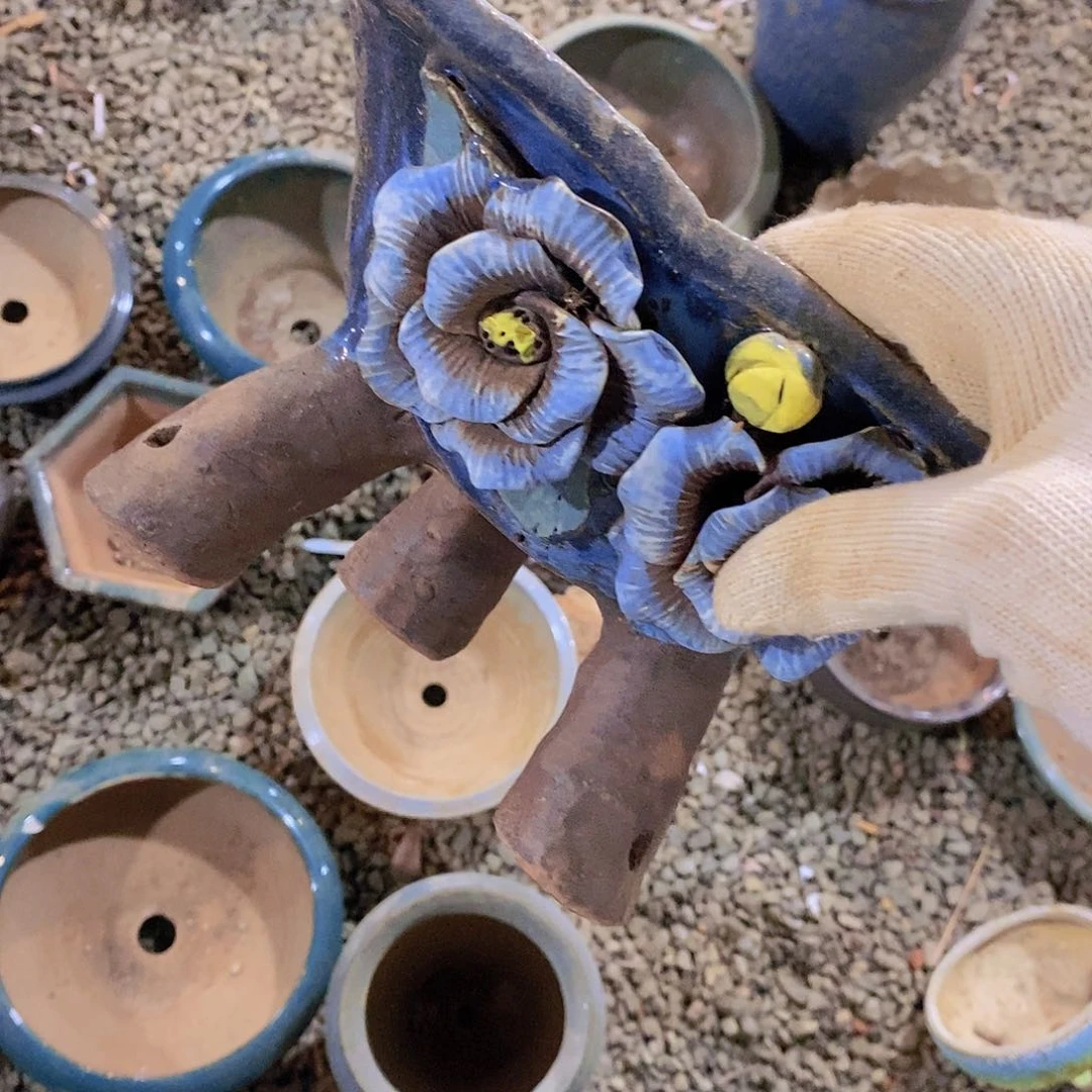 方法过后就看看看