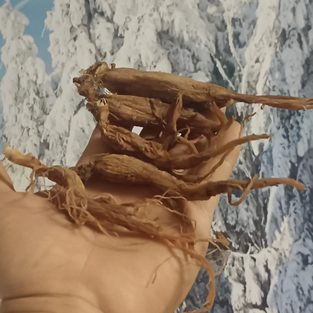 长白山红参滋补泡水煲汤健康养生